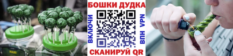 Купить где  Вичуга  Canna-Cookies конопля 