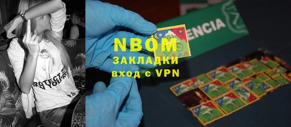 шишки Инсар