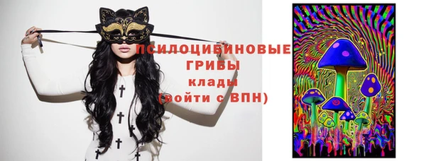мескалин Инта