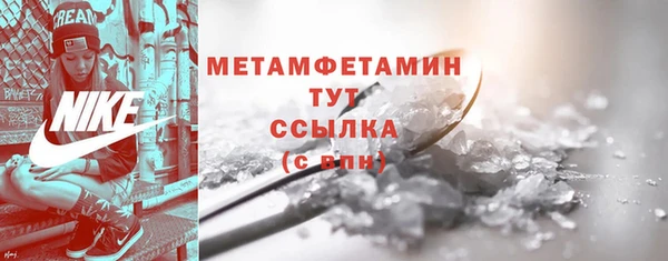 шишки Инсар