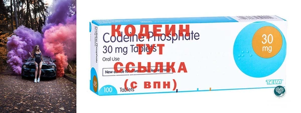 apvp Иннополис