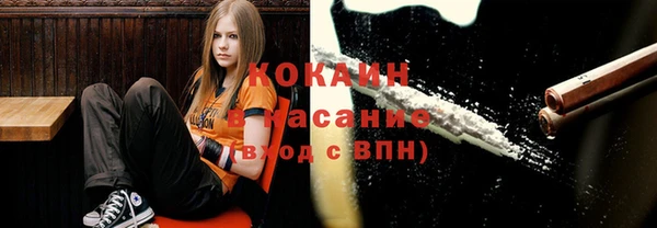 apvp Иннополис