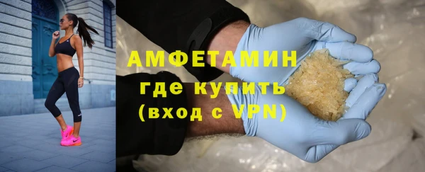 шишки Инсар