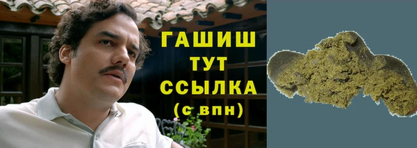 шишки Инсар