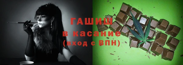 шишки Инсар