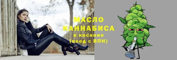 шишки Инсар