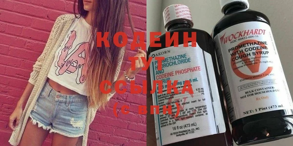 шишки Инсар
