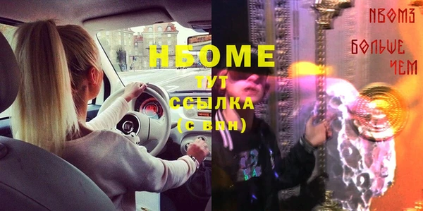 apvp Иннополис