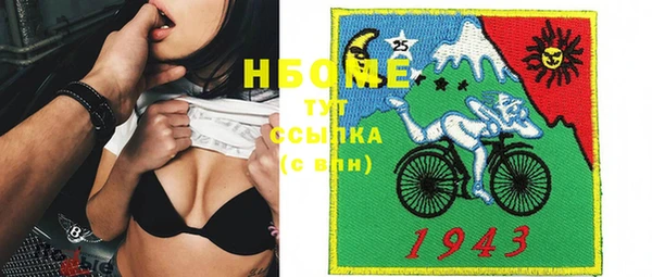шишки Инсар