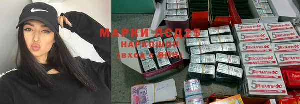 apvp Иннополис